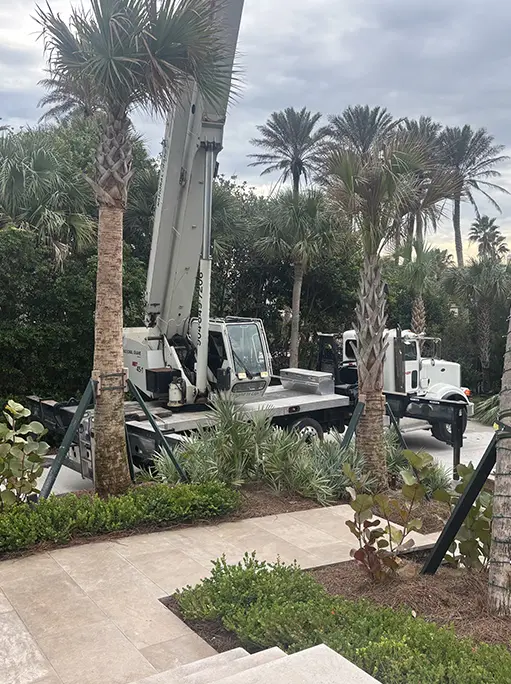 commercial landscape installation